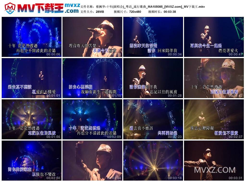 蔡枫华-十年(演唱会)_粤语_流行歌曲_MA105085